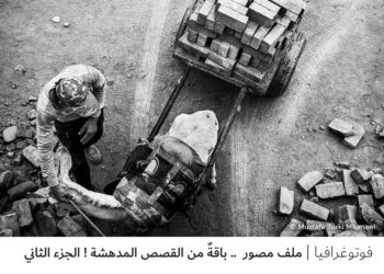 ملف مصور  .. باقةٌ من القصص المدهشة ! الجزء الثاني