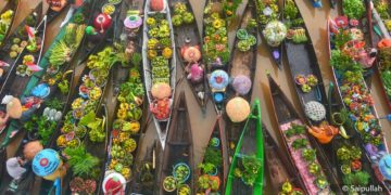 هل أنت مستعد لتصوير ما تأكله ؟