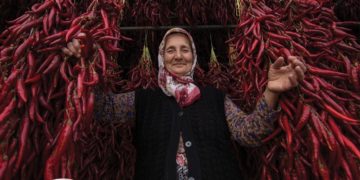 جائزة حمدان بن محمد للتصوير تنشر الصور الفائزة بمسابقة “الحصاد”