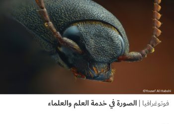 فوتوغرافيا – الصورة في خدمة العلم والعلماء