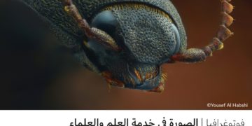 فوتوغرافيا – الصورة في خدمة العلم والعلماء