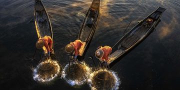 نتائج مسابقة التصوير الفوتوغرافي GPU تحت 25 عامًا.