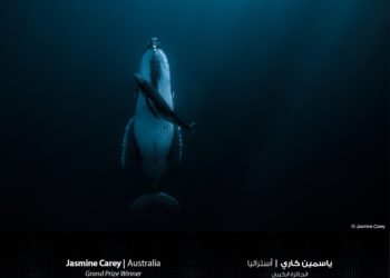 جائزة حمدان بن محمد الدولية للتصوير تُعلن الفائزين بموسم “الماء”