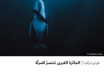 فوتوغرافیا – الجائزة الكبرى تنتصرُ للمرأة