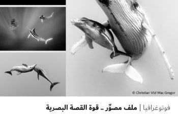 فوتوغرافیا –  ملف مصوِّر .. قوة القصة البصریة