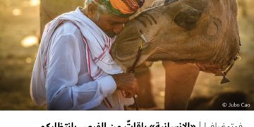 فوتوغرافيا – “الإنسانية” باقاتٌ من الفرص بانتظاركم