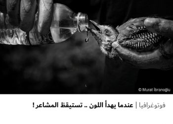 فوتوغرافيا – عندما يهدأ اللون .. تستيقظ المشاعر !