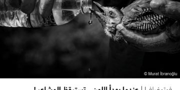 فوتوغرافيا – عندما يهدأ اللون .. تستيقظ المشاعر !