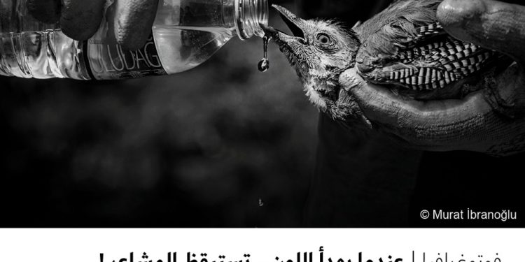 فوتوغرافيا – عندما يهدأ اللون .. تستيقظ المشاعر !