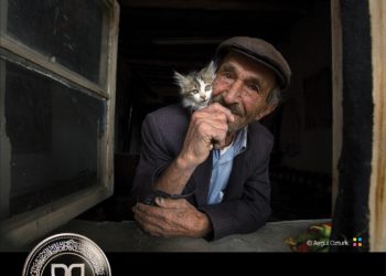 جائزة حمدان بن محمد للتصوير تنشر الصور الفائزة بمسابقة “المشاعر – الحب”