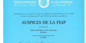 Art Photography of Indonesia and Turkish Federation TFSF collaborate to conduct an Virtual Exihibition in Sanal