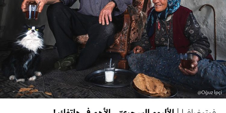 فوتوغرافيا – الألبوم السحريّ .. الأهم في هاتفك !