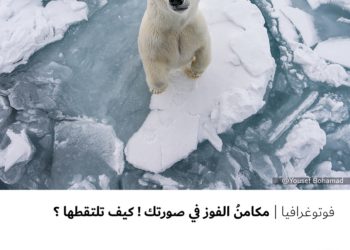 فوتوغرافيا – مكامنُ الفوز في صورتك ! كيف تلتقطها ؟