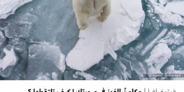 فوتوغرافيا – مكامنُ الفوز في صورتك ! كيف تلتقطها ؟