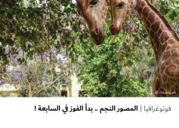 فوتوغرافيا – المصور النجم .. بدأ الفوز في السابعة !