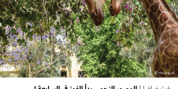 فوتوغرافيا – المصور النجم .. بدأ الفوز في السابعة !