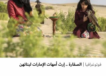 فوتوغرافي – الصقارة .. إرث أمهات الإمارات لبناتهن