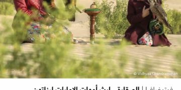 فوتوغرافي – الصقارة .. إرث أمهات الإمارات لبناتهن