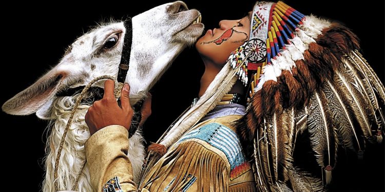 جائزة حمدان بن محمد للتصوير تنشر الصور الفائزة بمسابقة “حيوانك الأليف”