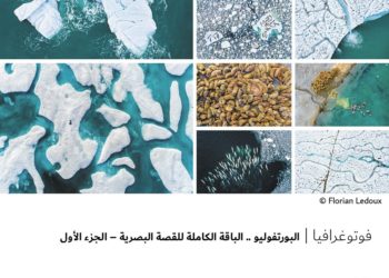 فوتوغرافيا – البورتفوليو .. الباقة الكاملة للقصة البصرية – الجزء الأول