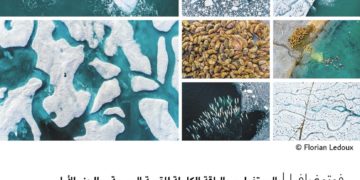 فوتوغرافيا – البورتفوليو .. الباقة الكاملة للقصة البصرية – الجزء الأول