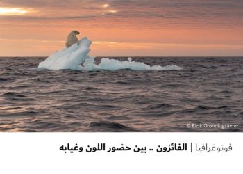 فوتوغرافيا- الفائزون .. بين حضور اللون وغيابه