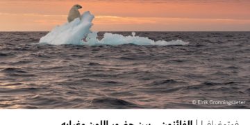 فوتوغرافيا- الفائزون .. بين حضور اللون وغيابه