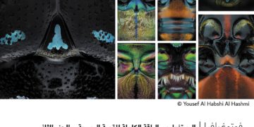 فوتوغرافيا – البورتفوليو .. الباقة الكاملة للقصة البصرية – الجزء الثاني