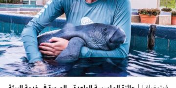 فوتوغرافيا – جائزة المؤسسة الواعدة .. الصورة في خدمة البيئة