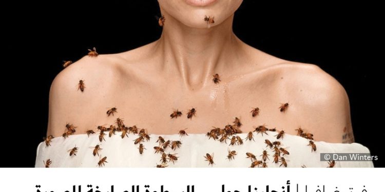 فوتوغرافيا – أنجلينا جولي .. السطوة الصارخة للصورة