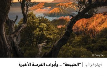 فوتوغرافيا – “الطبيعة” .. وأبواب الفرصة الأخيرة