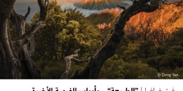 فوتوغرافيا – “الطبيعة” .. وأبواب الفرصة الأخيرة