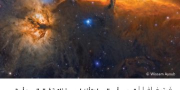 فوتوغرافيا – “سديم رأس الحصان” أفضل صورة فلكية في العالم من أبوظبي