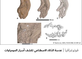 فوتوغرافيا – عدسة الذكاء الاصطناعي تكشف أسرار المومياوات