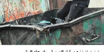 فوتوغرافيا – عن حُبّ الصورة .. وإسعاد البشر