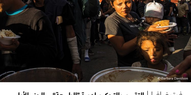 فوتوغرافيا – التقييم والتحكيم لدورة “الطبيعة” – الجزء الأول