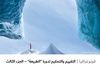 فوتوغرافيا – التقييم والتحكيم لدورة “الطبيعة” – الجزء الثالث