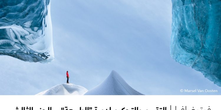 فوتوغرافيا – التقييم والتحكيم لدورة “الطبيعة” – الجزء الثالث