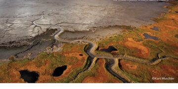 فوتوغرافيا -كورت موشلر .. المصور المُحرِّر يظفر بالجائزة التقديرية