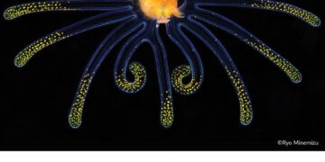 فوتوغرافيا – الصور الفائزة في محور “الطبيعة” – الجزء الأول