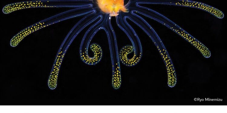 فوتوغرافيا – الصور الفائزة في محور “الطبيعة” – الجزء الأول