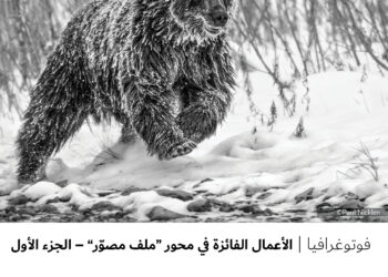 فوتوغرافيا – الأعمال الفائزة في محور “ملف مصوّر” – الجزء الأول