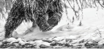 فوتوغرافيا – الأعمال الفائزة في محور “ملف مصوّر” – الجزء الأول