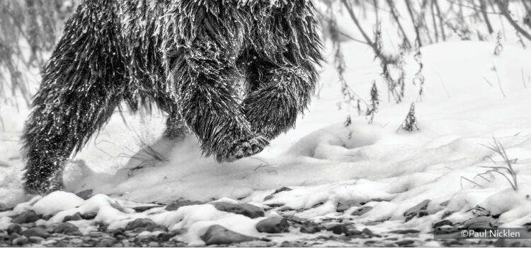 فوتوغرافيا – الأعمال الفائزة في محور “ملف مصوّر” – الجزء الأول