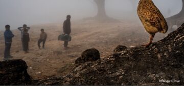 فوتوغرافيا – الصور الفائزة في محور “الطبيعة” – الجزء الثاني