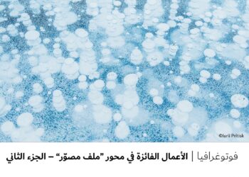 فوتوغرافيا – الأعمال الفائزة في محور “ملف مصوّر” – الجزء الثاني