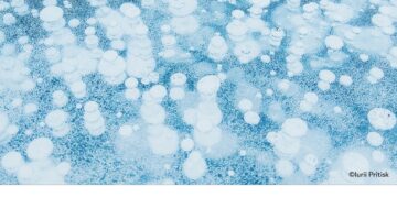 فوتوغرافيا – الأعمال الفائزة في محور “ملف مصوّر” – الجزء الثاني