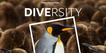 ‘DIVERSITY’ – HIPA ANNOUNCES ITS NEW THEME FOR THE TWELFTH SEASON OF COMPETITION