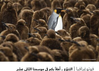 فوتوغرافيا – التنوّع .. أهلاً بكم في موسمنا الثاني عشر