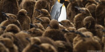 فوتوغرافيا – التنوّع .. أهلاً بكم في موسمنا الثاني عشر